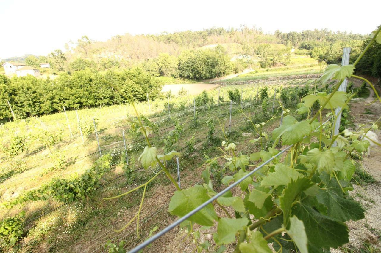 Quinta D'Areda Wine&Pool Experience Guest House ฟาฟี ภายนอก รูปภาพ